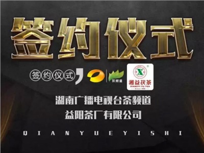 湘益茯，美茗揚(yáng) 丨湘益茯茶與茶頻道達(dá)成長期戰(zhàn)略合作