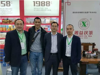 湘益茯茶6年耕耘，讓“金花”開遍巴蜀大地