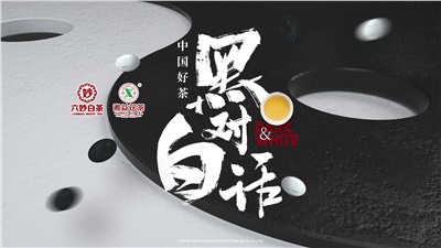 首屆黑白對(duì)話高峰論壇圓滿落幕！湘益茯茶備受關(guān)注！